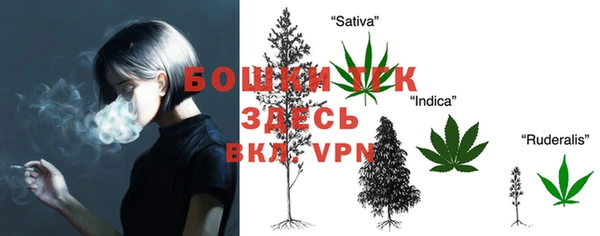 метадон Белокуриха