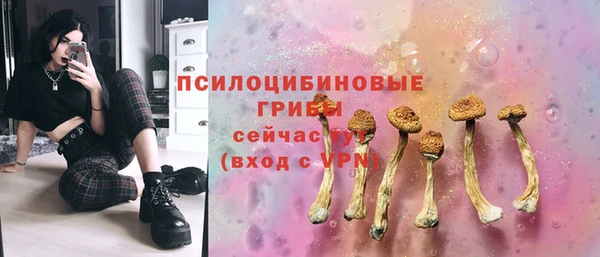 метадон Белокуриха