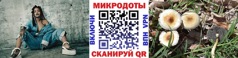 Галлюциногенные грибы мицелий  площадка как зайти  blacksprut ссылка  Вуктыл  купить закладку 